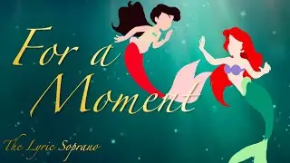 For a Moment ~ Duet Cover