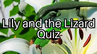 🌟 Test Your Knowledge on 'Lily and the Lizard'! How Many Can You Get Right? 🦎