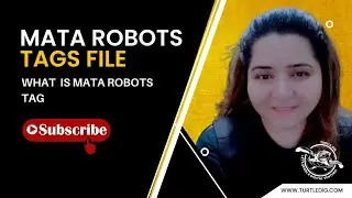 Mata Robots file for Wordpress |Mata Robots Tags in Technical SEO | How to Create Mata Robots Tags?