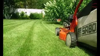 Стрижка газона