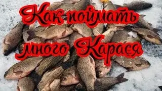 Как наловить много карася в январе?Где искать Карася в январе? На что ловить карася в январе?