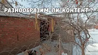 Зрители просят разнообразить КОНТЕНТ. А у нас всё оно и то же: кормим, лечим, купаем... 20. 02. 25