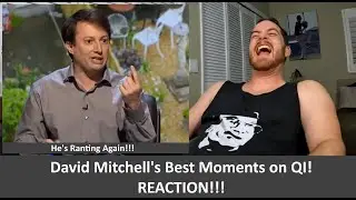American Reacts to QI | David Mitchell's Best Moments REACTION