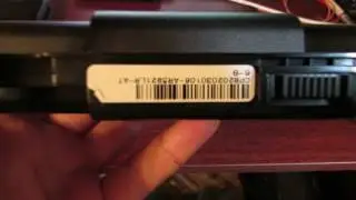 MVI 4231