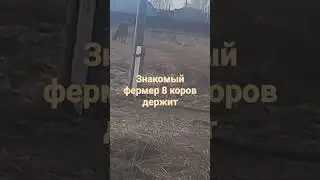 он тоже один на хозяйстве.