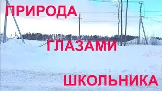 Как я вижу природу,отлучение от города.