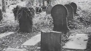 Crematorium nightmare