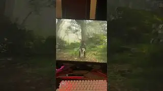 Nvidia driver 560.81 works much better than the latest. 