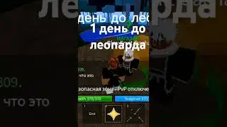 1 день до леопарда