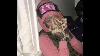 Lil Peep - GET F*CKED UP (unreleased)