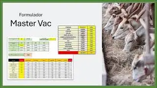 VIDEO ESPECIALIZACION 8