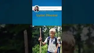 FDA In Your Day: Lyme Disease