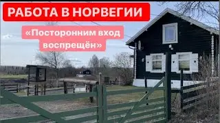 РАБОТА В НОРВЕГИИ: КУМОВСТВО И НИКАКИХ ШАНСОВ?