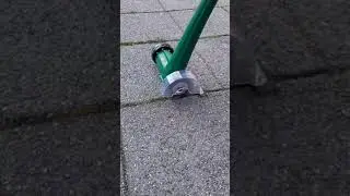 Fjern ugress