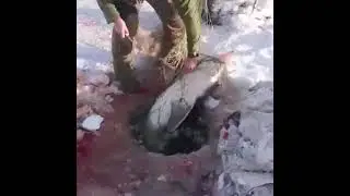 И такое бывает. 😳