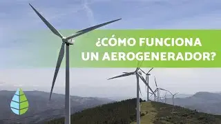 How does wind power work? 💨⚡ + Types of wind turbines
