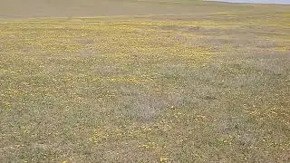 Весна