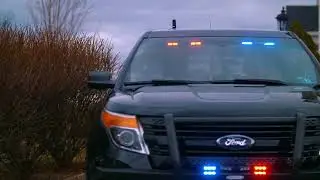 Nevada DMV Demerit Points.
