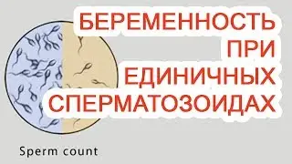 Беременность при единичных сперматозоидах / Доктор Черепанов