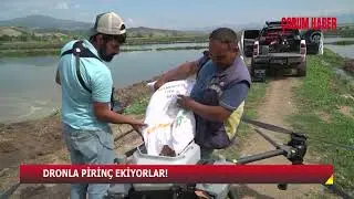 BURASI ÇORUM! DRONLA PİRİNÇ EKİYORLAR