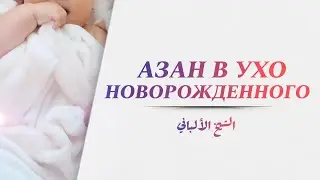 Азан в ухо новорожденного — Шейх Альбани