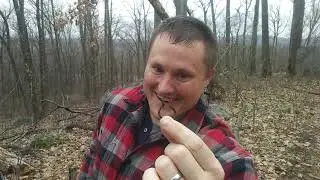 Metal Detecting Old Rock Walls | Counterfeiters Cave Part 1.5