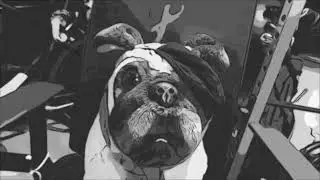 DOGFINGER: starring FINN and LEO DAILY