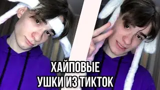 Обзор на ХАЙПОВЫЕ УШКИ из Тик-Ток