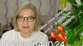 Обзор. В Доскино с любовью. Ох, Иван..