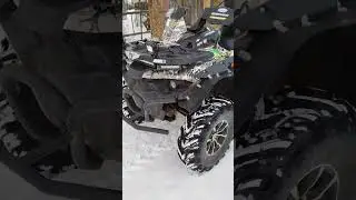 Стелс гепард 650