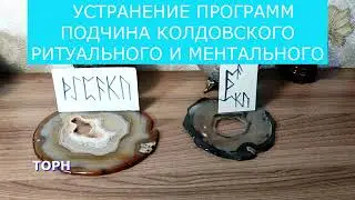 УСТРАНЕНИЕ ПРОГРАММ ПОДЧИНА  КОЛДОВСКОГО И МЕНТАЛЬНОГО