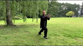 Фрагмент комплекса "непрерывных форм" (Ляньши) тайцзицюань стиля У.
