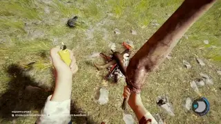 FOREST начинаем