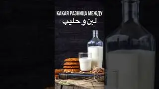 Молоко на арабском языке | Арабский язык онлайн | шортс 