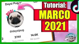 ❤️ Como poner el marco 2021 Tiktok Perfil 🤩😱 |✅ Poner el MARCO DE 2021 EN FOTO DE PERFIL TikTok