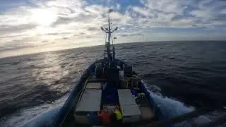 Súbete a bordo del Tuku-Tuku (Hondarribia)