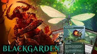 Modern Deck Tech - Blackgarden