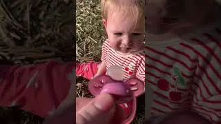 Bzzzzzzzzzzzz😂