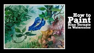 How to Paint a "Blue Ternate" in Watercolor