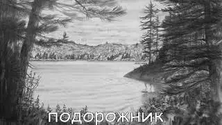 подорожник