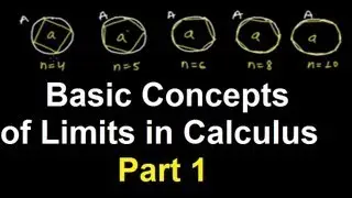 What is Limits in Calculus ? Basic Concept of Limits - Introduction to Limits of  Function 1