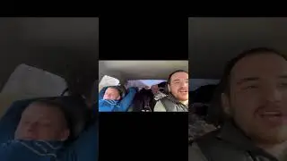 А вы испугались бы?😂#авто #страх #напугал #auto #грузоперевозки #грузовик #испуги #смешныевидео