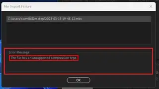 error the file has an unsupported compression type | .mkv file not support in adobe premiere pro