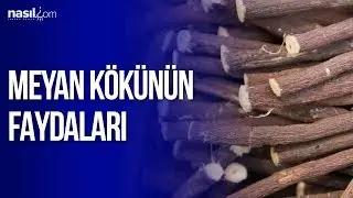 Meyan Kökü Faydaları | Sağlık | Nasil.com