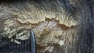 Scratch Like Bulldozer Pushing