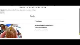 Apple  Diseases Detection Web App by Using MobileNet Model