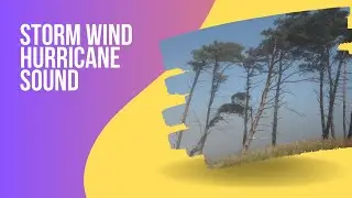 Storm Wind Hurricane HQ Sound Effect I Free Download