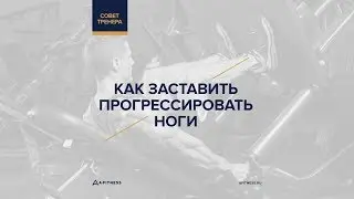Тренировка ног: как заставить их прогрессировать