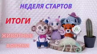 НЕДЕЛЯ СТАРТОВ 