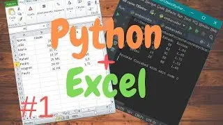 Python Pandas # 1 - Reading Excel Data